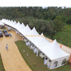 Tente 6x6m pour fête de mariage dans le jardin avec doublures et rideaux décoratifs