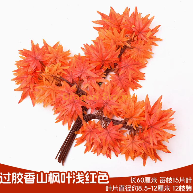 过胶香山枫叶浅红色 （12 枝）