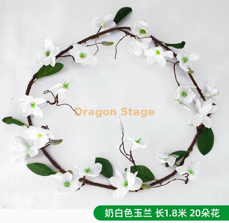 白色 玉兰花 （一条 一条）