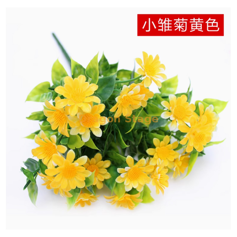 黄色 黄色雏菊花