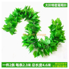 Vine simulée, décoration des feuilles de raisin, vigne à fleurs artificielles, emballage de tuyaux, plafond de la plante verte, 66 feuilles, feuilles de vigne ultra denses -2 morceaux, papillon + soie attachée pour l'accouchement