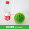 Simulate Plant Grass Ball Milan Ball Plastique Plante Plant Plante Décoration