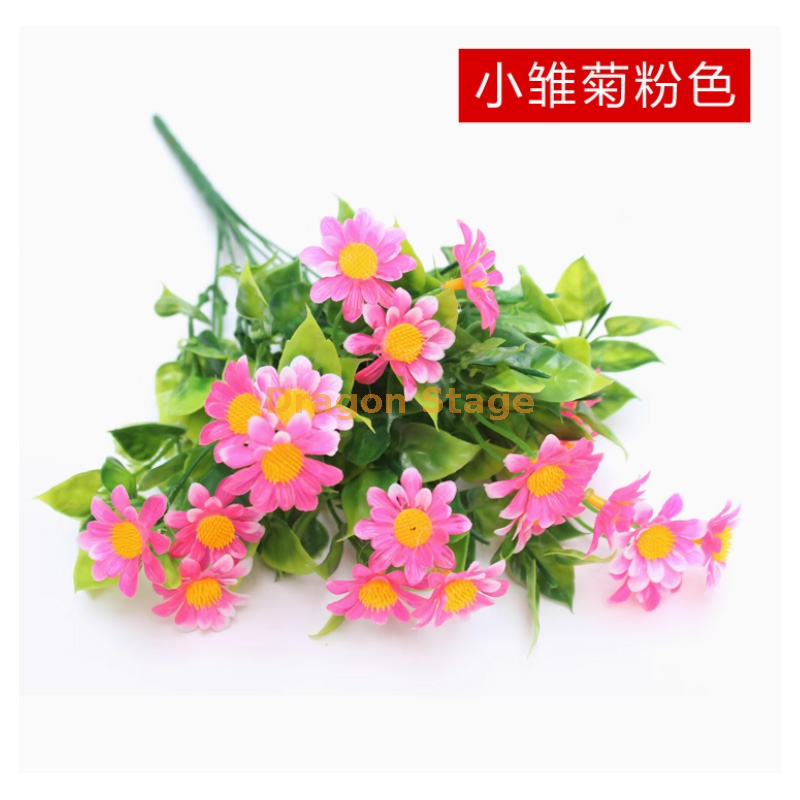 藕色 粉色雏菊花