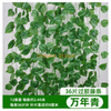 Vine simulée, décoration des feuilles de raisin, vigne de fleur artificielle enroulée autour de plantes vertes, 36 feuilles à feuilles persistantes enduites en caoutchouc, 12 bandes - étanche, écran solaire, papillon + cravate