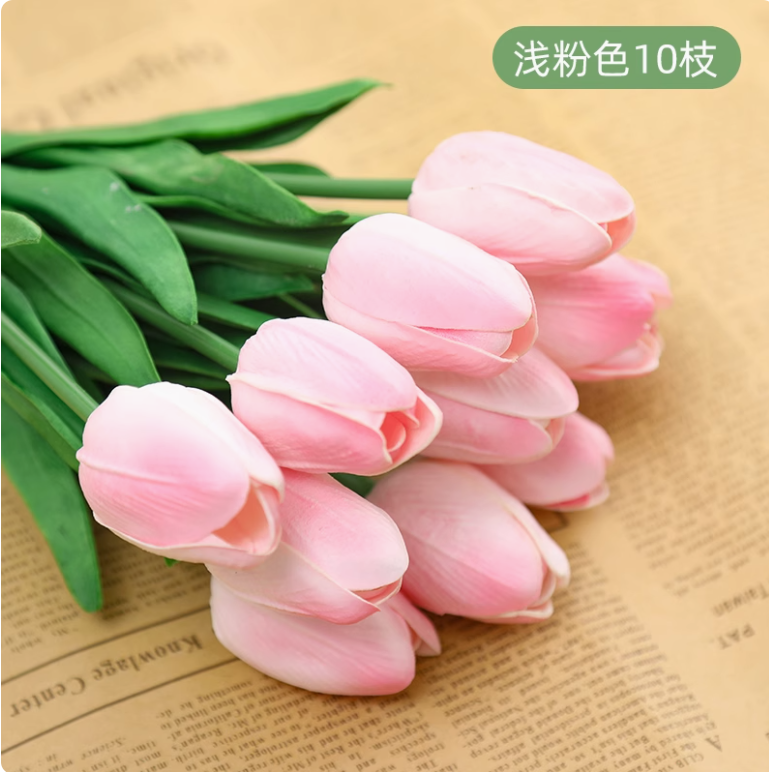 浅粉色郁金香 （50 枝）））） 枝 枝