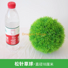 Simulate Plant Grass Ball Milan Ball Plastique Verte Plant Plante Décoration