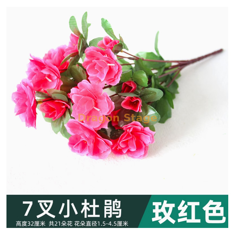 玫红 -7 杈小杜鹃