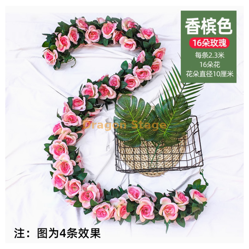 香槟 -16 朵玫瑰 1 条