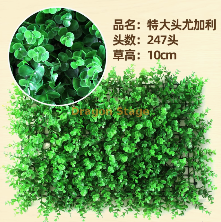 尤加利特大头尤加利