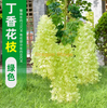 Fleurs de glycine simulées tofu pudding String Violets faux plafond rotin décoration de mariage intérieur vert Nouveau glydromelle lilas fleurs - vert 6