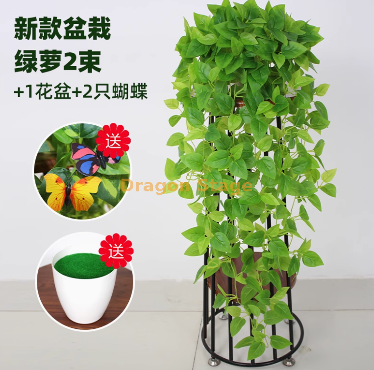盆栽精灵绿萝 2 束 + 盆
