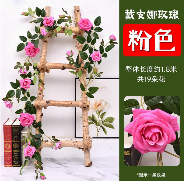 粉红戴安娜大玫瑰花藤 1 条