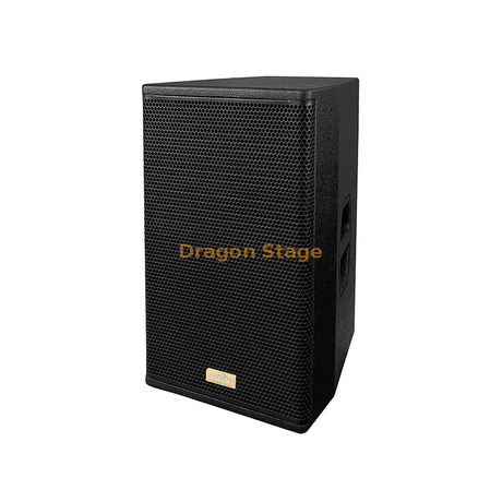 Hot Sale Live Sound Equipment Haut-parleur passif de 10 pouces Le président de l'événement intérieur Dj Pa Speaker