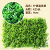 Plantes vertes, murs de plantes simulées, pelouses en plastique, balcons, arrière-plans intérieurs, murs floraux et une variété d'herbes luxueuses