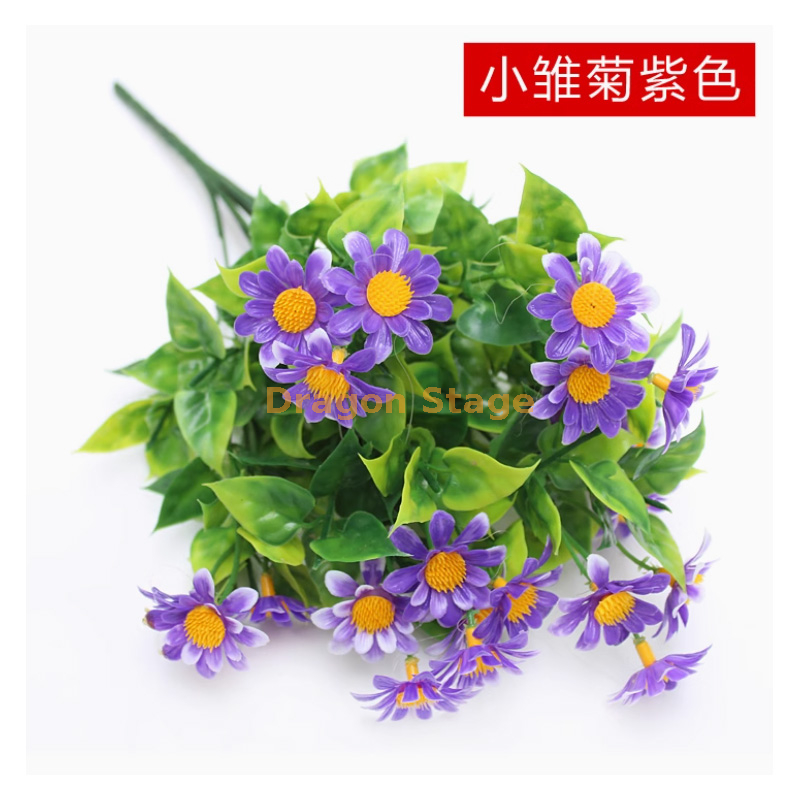 褐色 紫色雏菊花