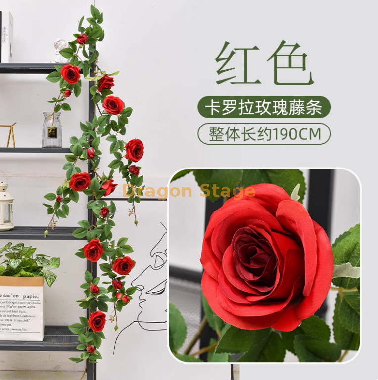 大红色卡罗拉大玫瑰藤 1 条