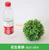Simulate Plant Grass Ball Milan Ball Plastique Plante Plant Plante Décoration