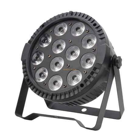 100W 12 * 10W 4IN1 LED PAR LUMIÈRE
