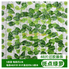 Vine simulée, décoration des feuilles de raisin, vigne de fleurs artificielles enroulée autour de plantes vertes, 48 ​​taches de colle, 5 vignes vertes - étanche, écran solaire, papillon + soie attachée