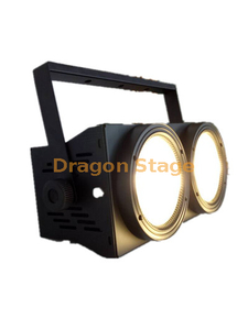 2 Yeux Monochrome COB Surface Light Audience Light twin cob light