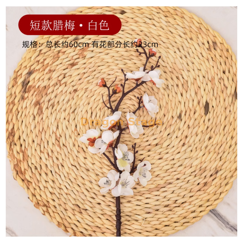 白色短款腊梅