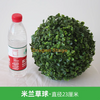 Simulate Plante Grass Ball Milan Ball Plastique Plante Plant Plante Décoration