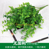 Plantes vertes, murs de plantes simulées, pelouses en plastique, balcons, arrière-plans intérieurs, murs de fleurs, bleu clair, arbres d'eucalyptus, 1 branche