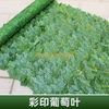 Mur de plante verte simulée, clôture en plastique, clôture, feuilles de raisin imprimées de couleur extérieure (1 mètre * 3 mètres), amorcée de soie et 3 papillons