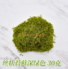 Moss Grass Moss Biomimétique Faux artificiels Moss Mossage Micro Landscape Filamenteous Moss Green foncé 30g, d'environ 30 x 30 cm