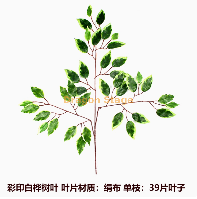 单根 （绢布）） 白桦树叶
