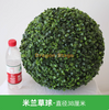 Simulate Plante Grass Ball Milan Ball Plastique Plante Verre Planche Décoration