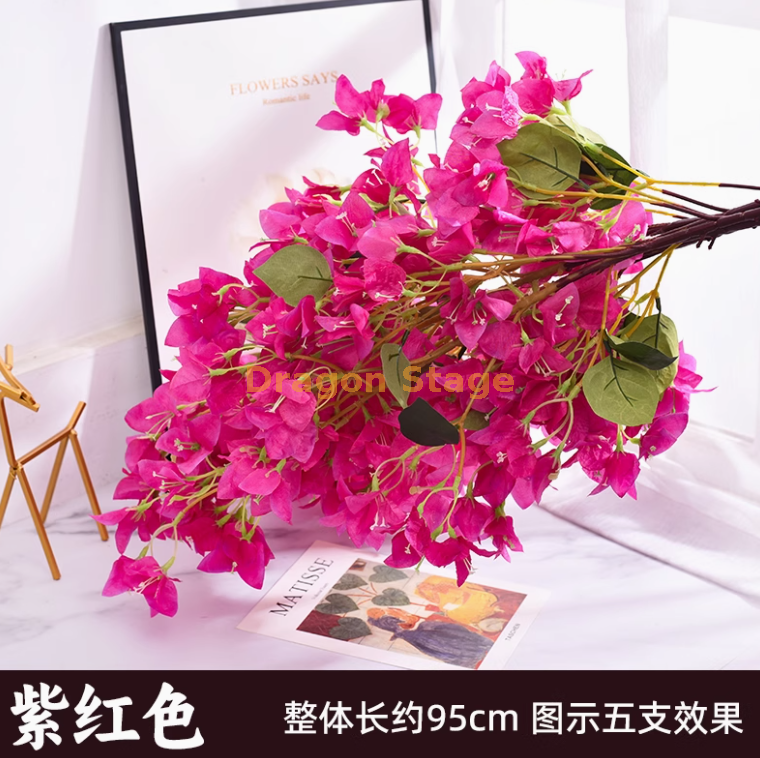 紫红色 - 加密三角梅 1 枝