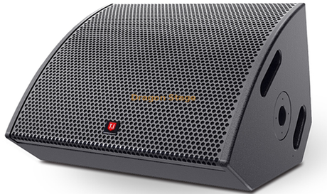 Moniteur coaxial audio de concert d'événement extérieur 15' moniteur bidirectionnel passif