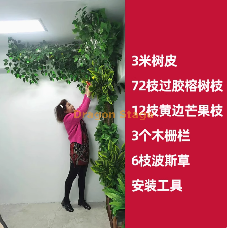 金色 树皮套装 24