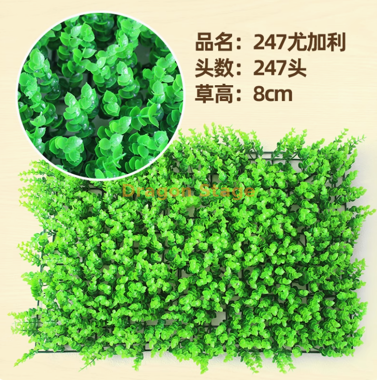 加密 247 尤加利